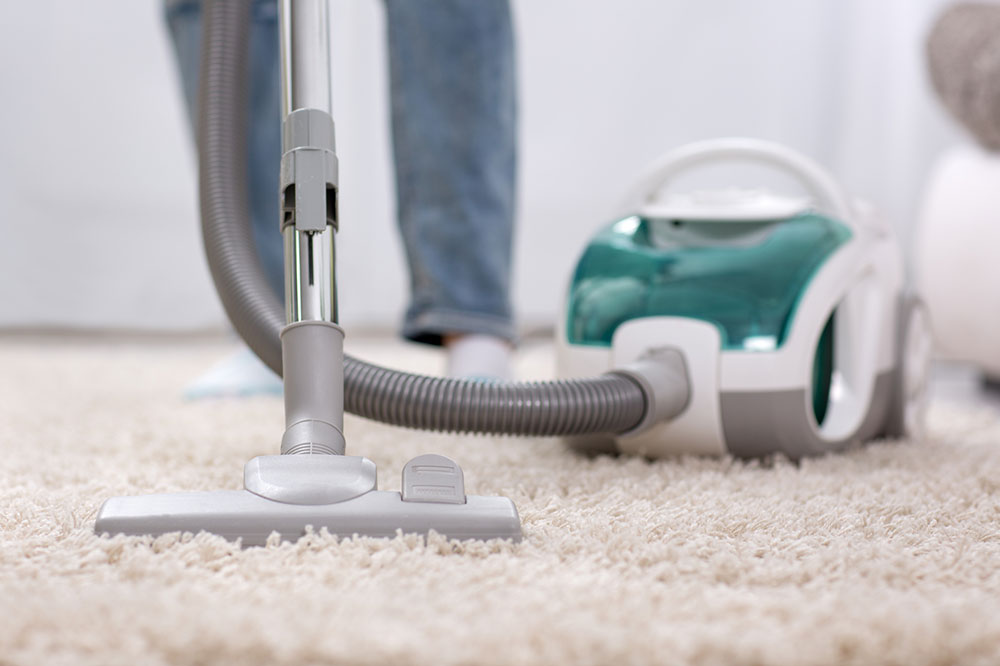 Top Vacuum Cleaners Suitable for Every Home and Budget