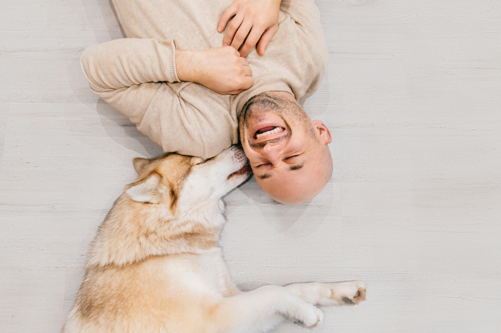 The Different Ways Dogs Communicate With Humans